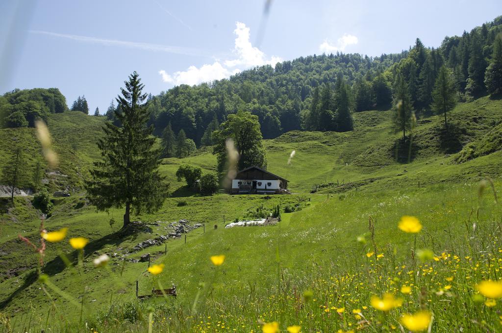 Noichl'S Hotel Garni Sankt Johann in Tirol Pokoj fotografie